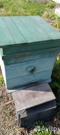 Улей 12 рамок