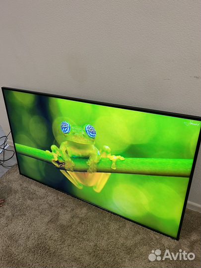 Профессиональная панель Samsung QM55R-B