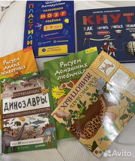 Шамиль ахмадулин книги и др