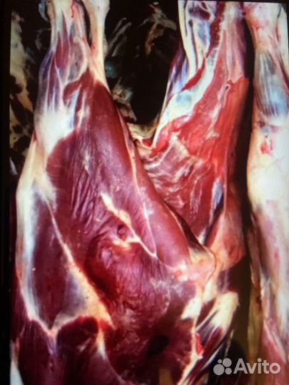 Мясо говядины полутуши(четверть)