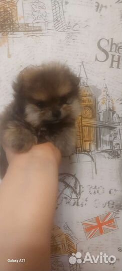 Супер миник