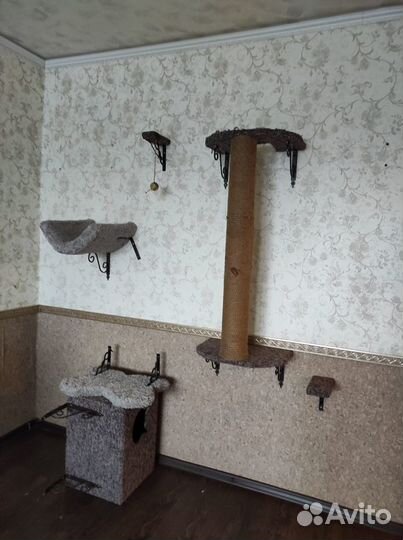 Комплекс для кошек, собак