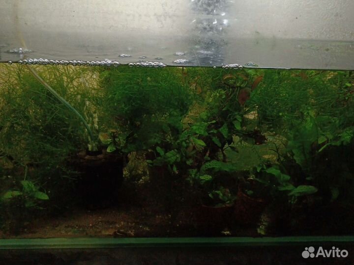 Аквариум с крышкой подсветкой