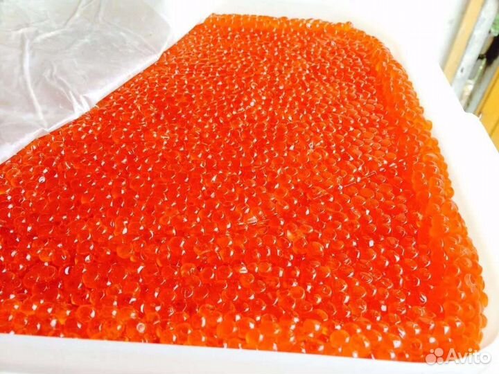 Икра красная Горбуши