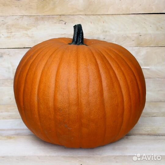 Тыква большая 42 кг самовывоз из моск обл