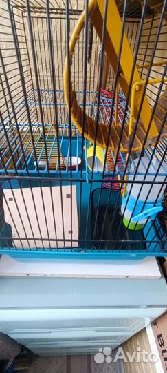 Все для хомяка