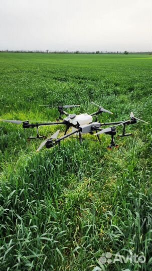 Опрыскивание полей агродронами