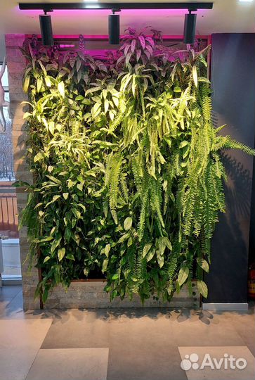 Озеленение офиса / искуственные растения