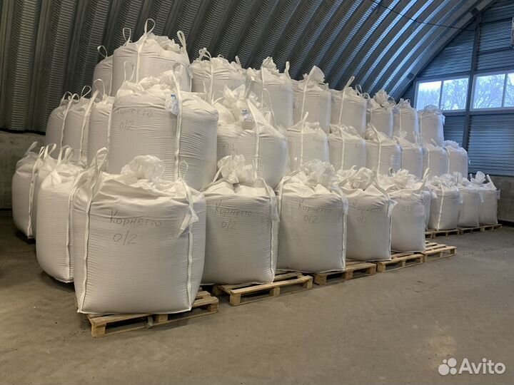 Семена озимой пшеницы Туранус рс1