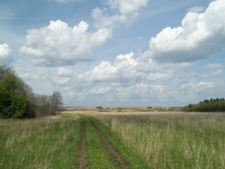 Участок 24 сот. (СНТ, ДНП)