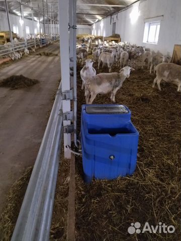 Поилка для крс пластиковая