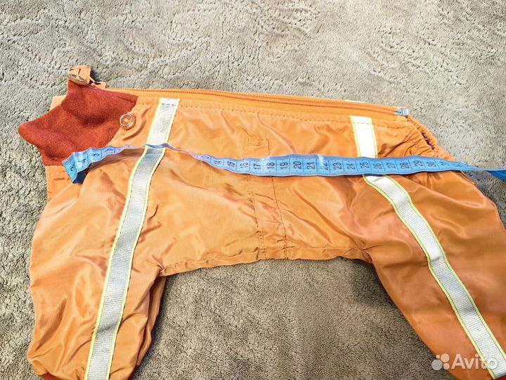 Костюм для маленькой собачки