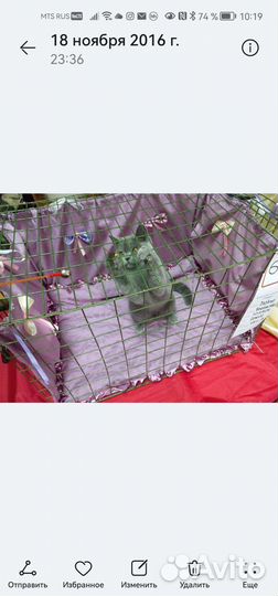 Комплект в клетку для выставки кошек