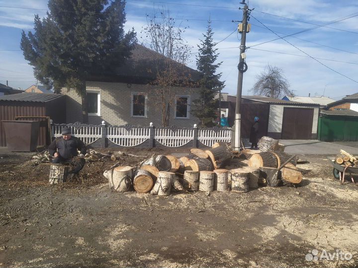 Спил деревьев, кронирование