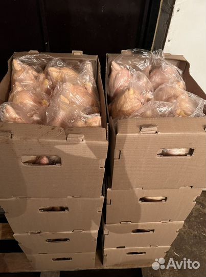 Куры бройлеры тушки мясо