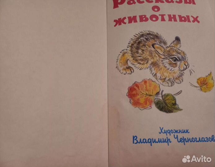 Детские книги (цена за две книги)