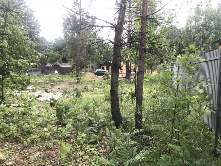 Участок 9 сот. (СНТ, ДНП)