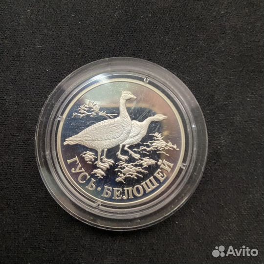 1 рубль 1998 Гусь-белошей Красная книга серебро