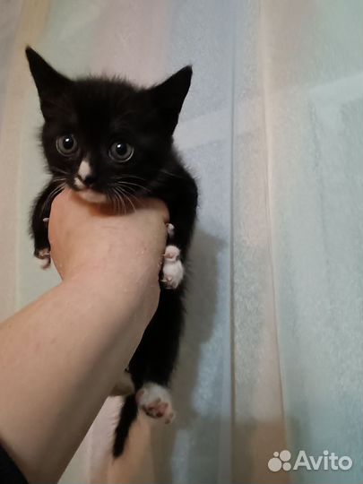 Мальчик. 1 месяц