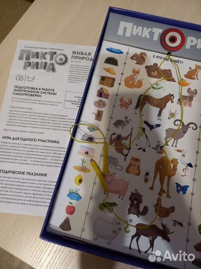 Электровикторина