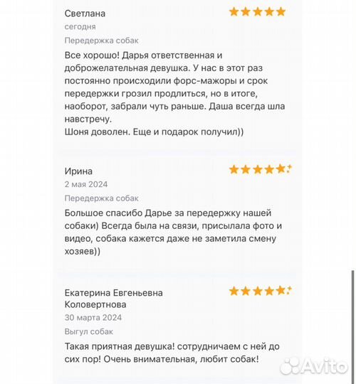 Выгул собак в утреннее и вечернее время