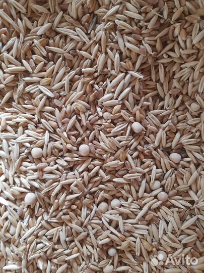 Зерносмесь (горох, овёс, пшеница, ячмень. )