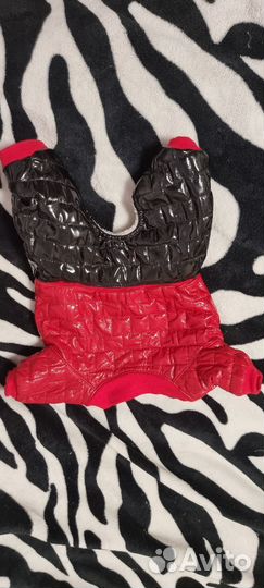 Одежда для маленьких собак