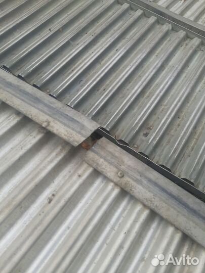 Родной пол прогресс 4