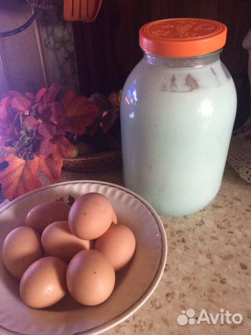 Молоко нубийских коз