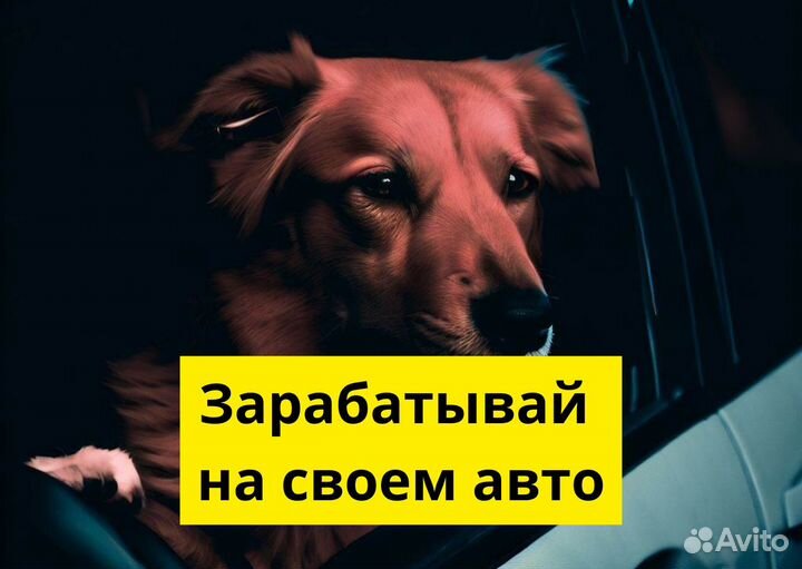 Ваши колеса – ваш путь в Яндекс Go