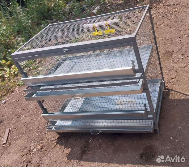 Клетка на 70-80 перепелов с яйцесборником