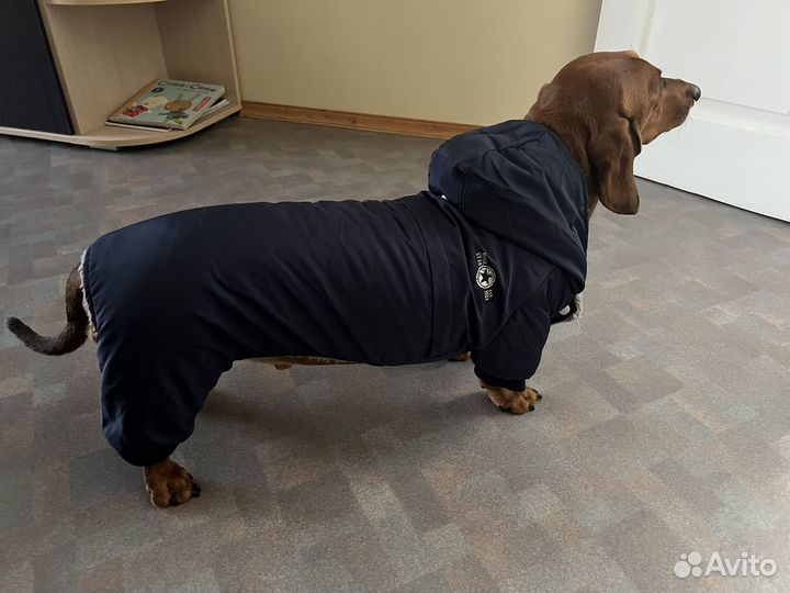 Зимний костюм для собак