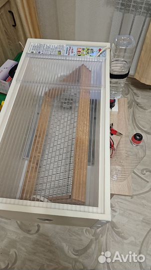 Инкубатор для яиц автоматический