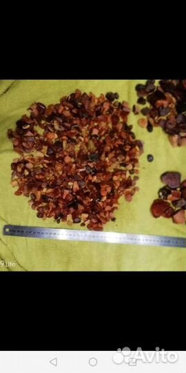 Янтарь СССР