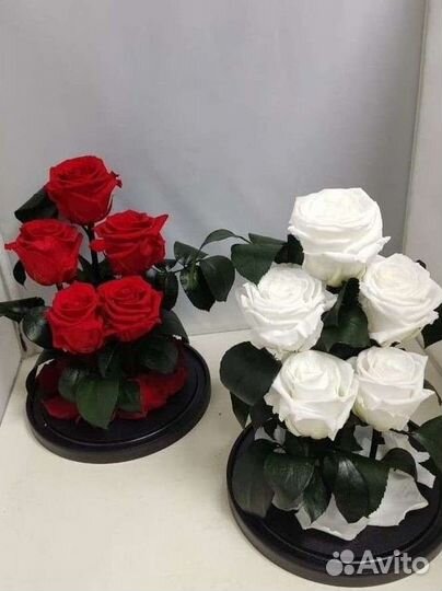 Подарок на новый год / Цветы