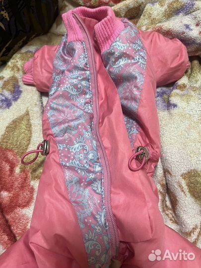 Одежда для собак