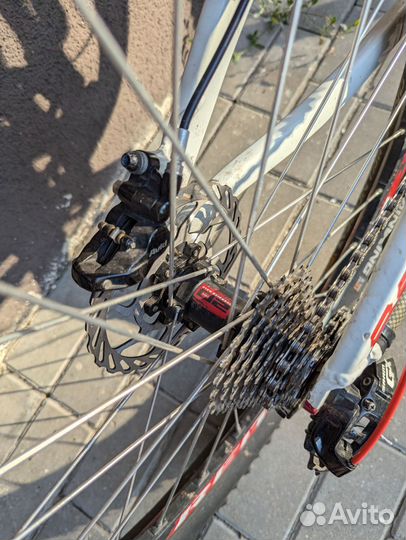 Дербан giаnt rеign 2014