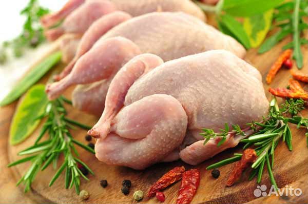 Упаковщик вахта выезд бесплатно производство