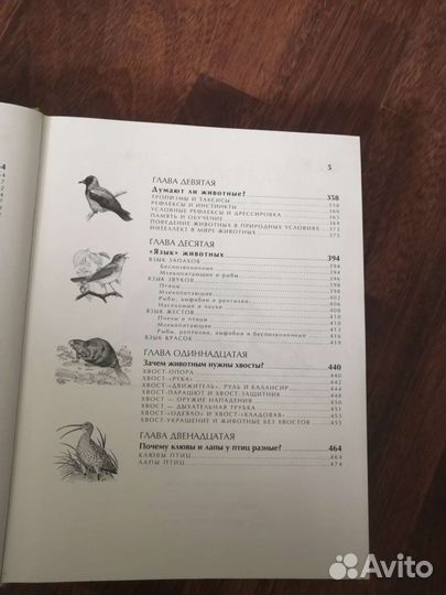 Энциклопедия для детей