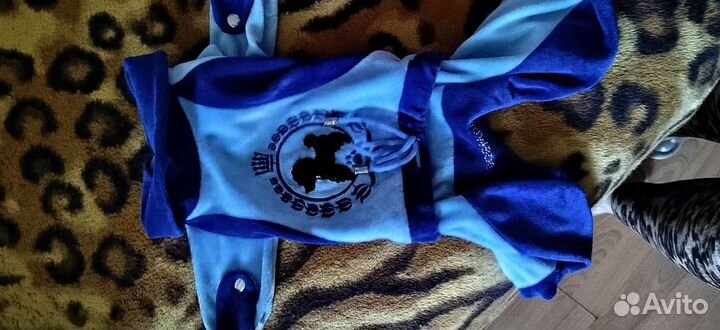 Костюм для собаки