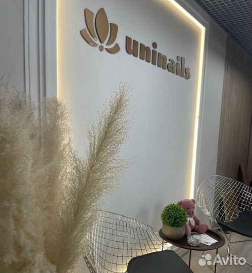 Администратор бровист