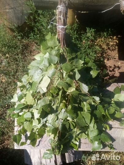 Веники для бани с доставкой на дом