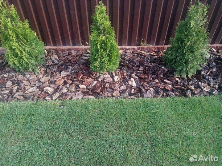 Кора сосны, Мульча. Крупная и средняя фракция