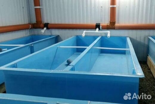 Высоко доходный бизнес под ключ рыбная ферма узв