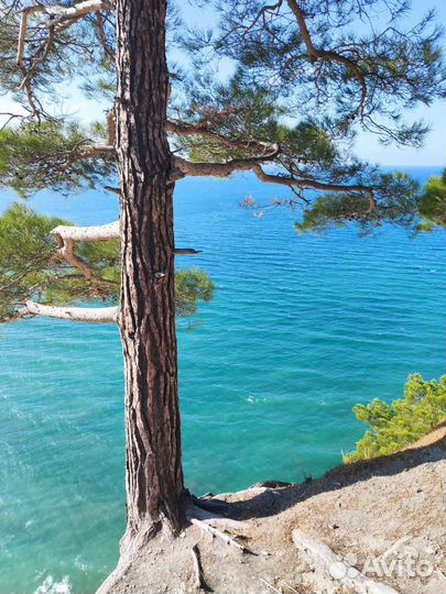 Поездки на моём авто на лучшие пляжи и водопады