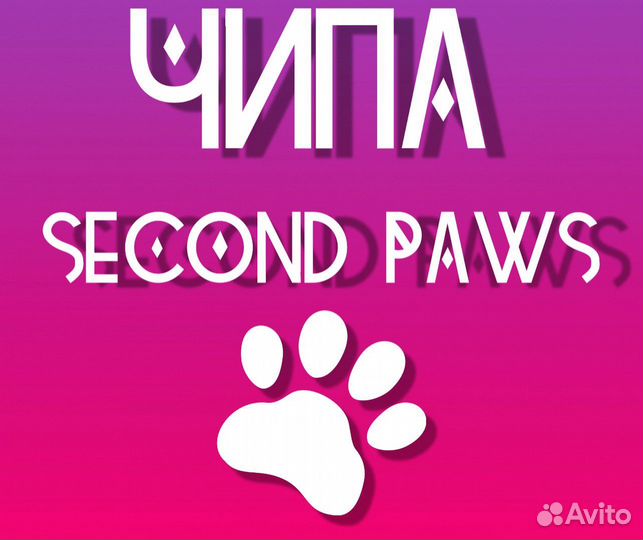 Одежда для собак