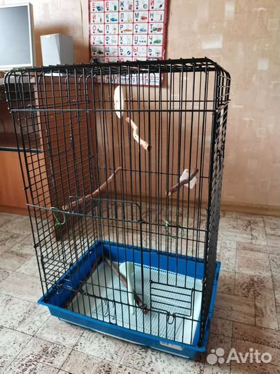 Большая клетка для птиц
