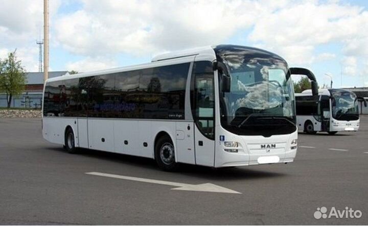 Аренда - автобусов, микроавтобусов, минивенов