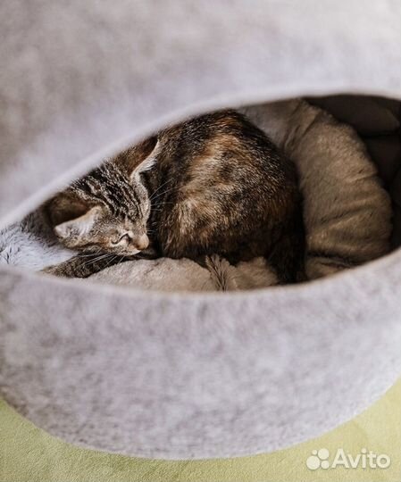 Домик мягкий для кошек норка