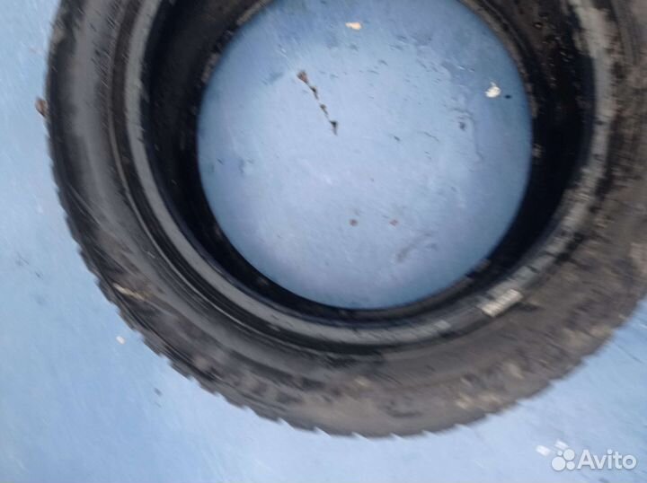 Nexen Winguard WinSpike WH62 195/65 R16 87T